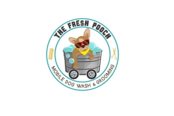 Professional And Affordable Dog Bath Service In Toronto